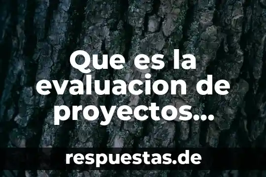 Que es y para que sirve un planificador de proyectos 3 Que es la evaluacion de proyectos educativos