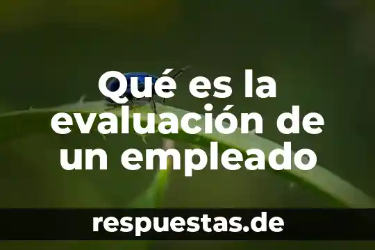 Qué es la evaluación de un empleado