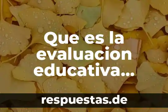 Que es el concepto de habilidades 3 Que es la evaluacion educativa concepto
