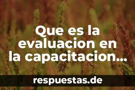 Que es el pecado para niños slideshare 5 Que es la evaluacion en la capacitacion slideshare