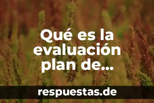 Que es una competencia segun el programa de estudios 2011 5 Qué es la evaluación plan de estudios 2011