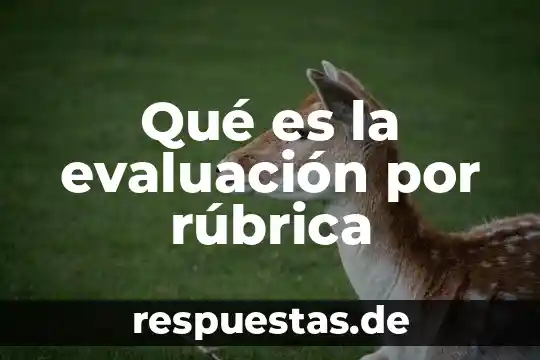 Que es una ecua evaluacion 3 Qué es la evaluación por rúbrica