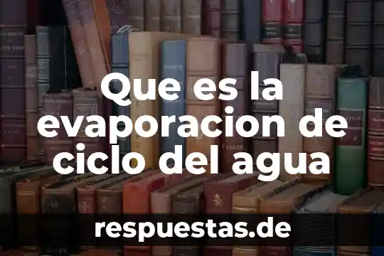 Que es el ciclo del carbono definición 8 Que es la evaporacion de ciclo del agua