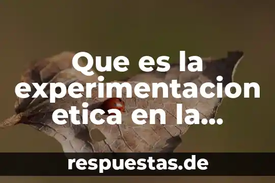 Que es la experimentacion etica en la medicacion