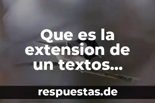 Que es la extension de un textos funcionales
