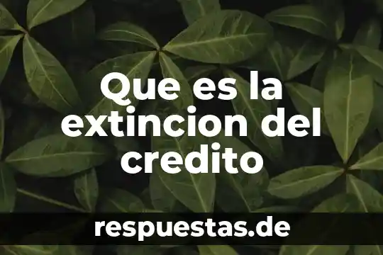 Qué es crédito nominal 6 Que es la extincion del credito