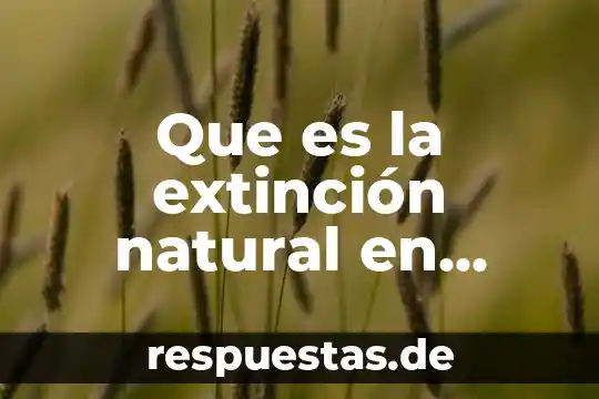 Que es venmo mexico 4 Que es la extinción natural en mexico