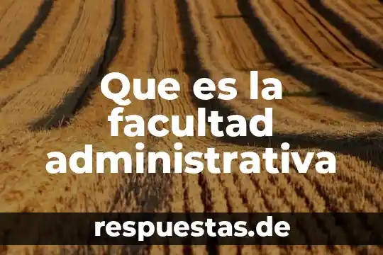 Definición que es visto por encima 6 Que es la facultad administrativa