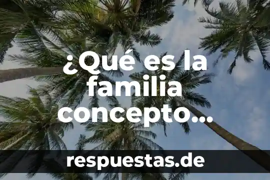Que es una familia de instrumentos 3 ¿Qué es la familia concepto psicología?