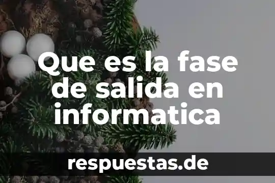Qué es significa mother broaden informática 7 Que es la fase de salida en informatica
