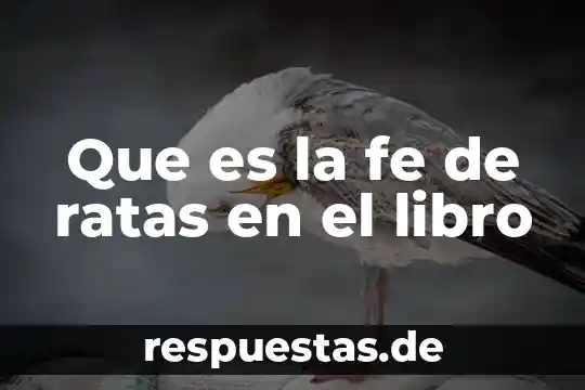 Que es mision libro de marketing en el siglo xxi 6 Que es la fe de ratas en el libro