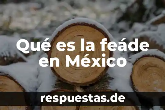 Que es la ce mexico 6 Qué es la feáde en México