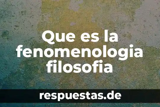 Qué es la reaccionología en filosofía 5 Que es la fenomenologia filosofia