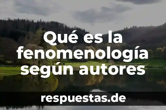 Que es el concepto de ayuwoki 7 Qué es la fenomenología según autores