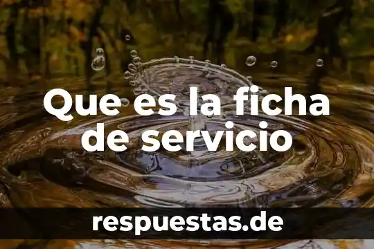 Qué es tabulación en cálculo 4 Que es la ficha de servicio