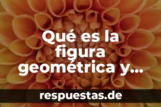 Que es el perimetro de una figura geometrica plana 5 Qué es la figura geométrica y cuerpo geométrico