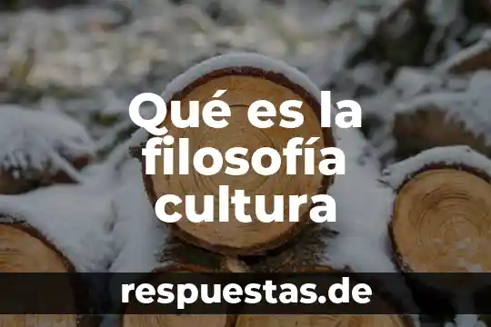 Por que es importante la cultura en una región 7 Qué es la filosofía cultura