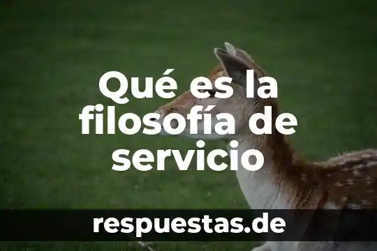 Que es certidumbre en filosofia 4 Qué es la filosofía de servicio