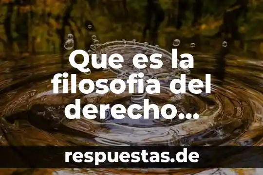 Conocimiento jurídico que es 8 Que es la filosofia del derecho termino juridico