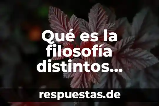 Que es la informacion por autores 4 Qué es la filosofía distintos autores
