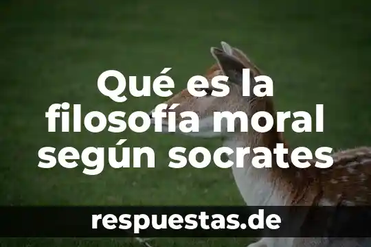 Que es lo bueno para socrates 8 Qué es la filosofía moral según socrates