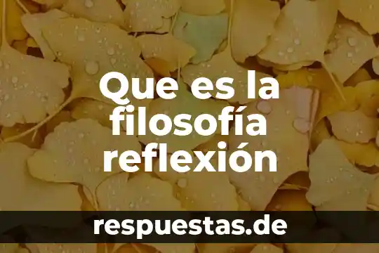 Que es la moralidad en filosofia 3 Que es la filosofía reflexión