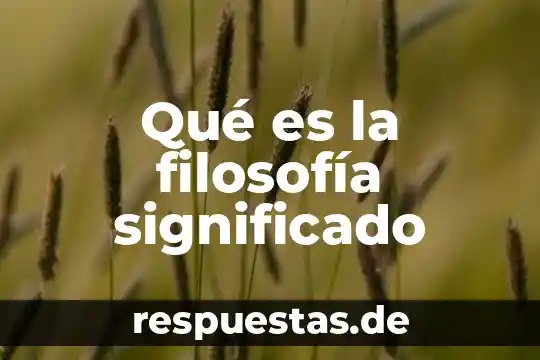 Que es la verdad filosofia ejemplos 3 Qué es la filosofía significado