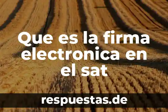 Por que es importante una firma una carta poder 3 Que es la firma electronica en el sat