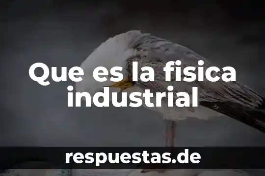 Que es una sociedad capital e industrial 5 Que es la fisica industrial