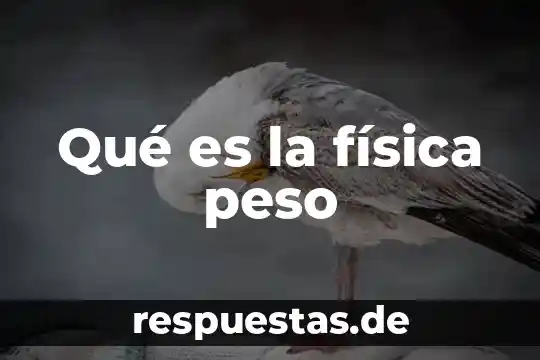 Qué es el gtc física 4 Qué es la física peso
