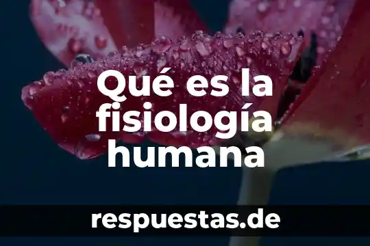 Qué es el test proyectivo de la figura humana 3 Qué es la fisiología humana