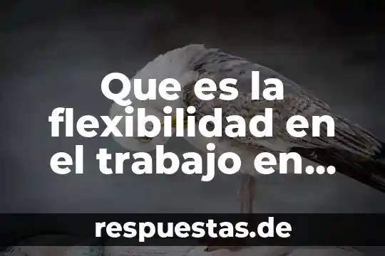Que es la flexibilidad en el trabajo en equipo