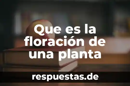 Que es gerencia de planta 6 Que es la floración de una planta