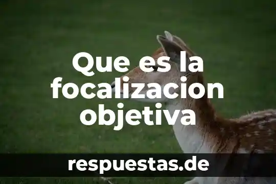 Que es un simbolismo interno 8 Que es la focalizacion objetiva