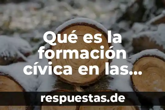 Qué es la formación cívica en las personas