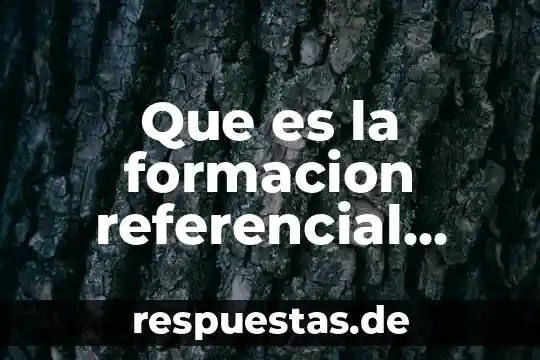 Qué es su concepto y definición función referencial 3 Que es la formacion referencial representativa o informativa