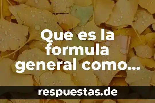 Qué es ejercicio de un balance general concepto 7 Que es la formula general como se resuelve