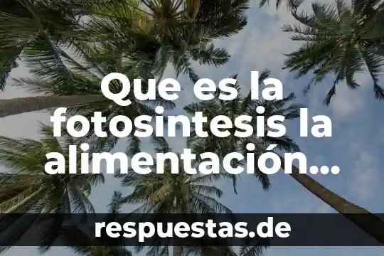 Que es el control de alimentacion poa 3 Que es la fotosintesis la alimentación autotrofa heterotrofa