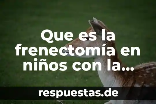 Qué es el suelo definición para niños 5 Que es la frenectomía en niños con la leporino