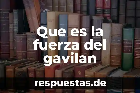 Que es la proporcionalidad de la fuerza 5 Que es la fuerza del gavilan