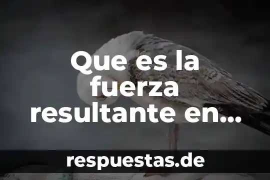 Que es la fuerza resultante en fisica