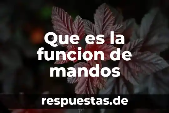 Que es un vector enfermedad 3 Que es la funcion de mandos