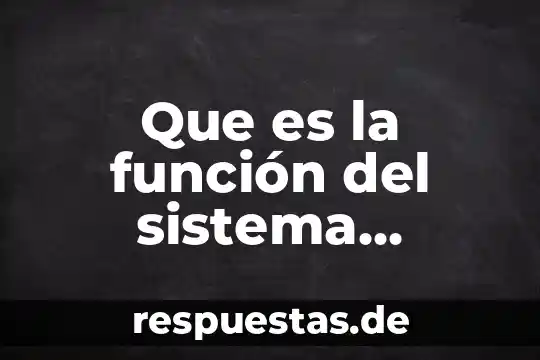 Fase del proceso digestivo que es la respuesta del cuerpo 8 Que es la función del sistema digestivo yahoo