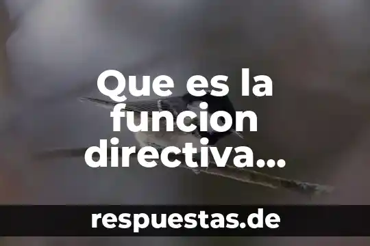 Que es la personalidad de concepto 6 Que es la funcion directiva immegar y pascual