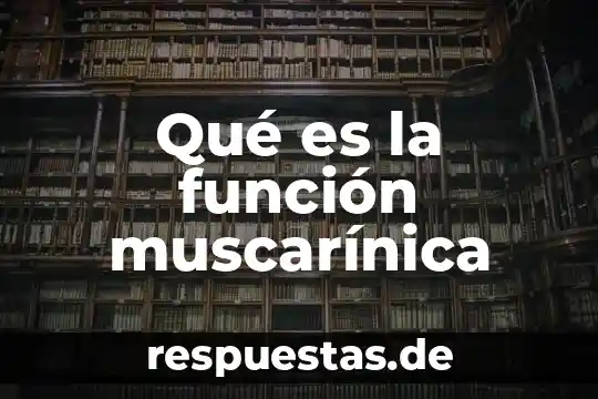 Que es el pistilo de la flor y su funcion 6 Qué es la función muscarínica