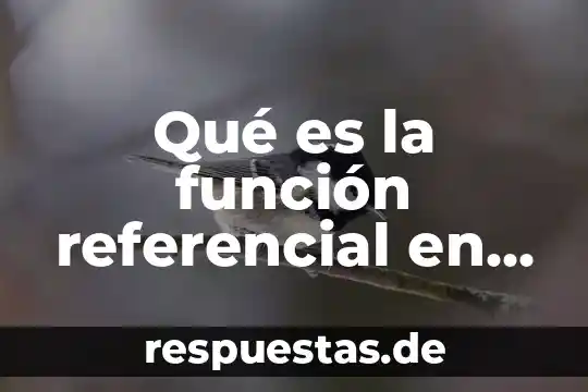 Qué es su concepto y definición función referencial 7 Qué es la función referencial en la comunicación