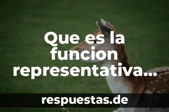 Que es sufijo latino ejemplos 5 Que es la funcion representativa ejemplos derivadas