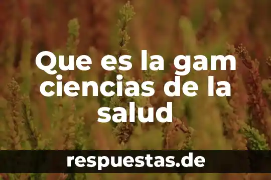 Que es la justicia aplicada en la salud 4 Que es la gam ciencias de la salud
