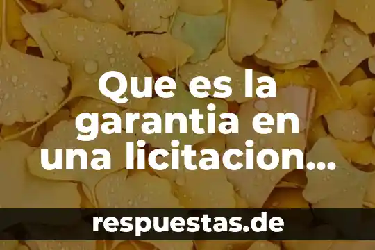 Que es una obra literaria inedita 4 Que es la garantia en una licitacion de obra