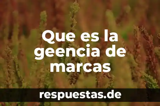 Que es son marcas de pago 3 Que es la geencia de marcas